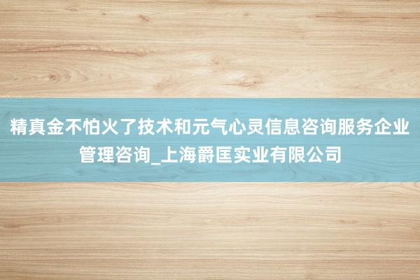 精真金不怕火了技术和元气心灵信息咨询服务企业管理咨询_上海爵匡实业有限公司